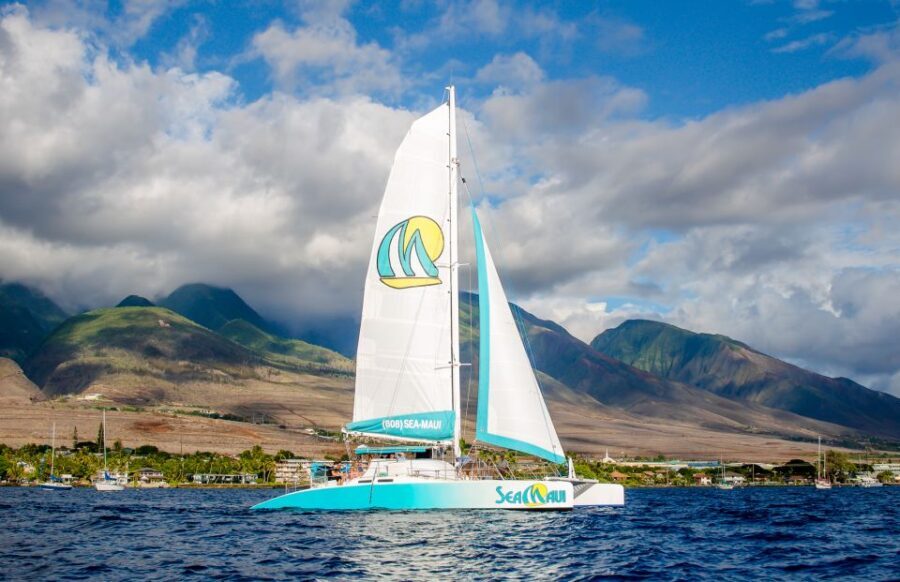 From Kaanapali: Afternoon West Maui Snorkeling w/ Drinks - Key Highlights That Make This Cruise Worth Your Time