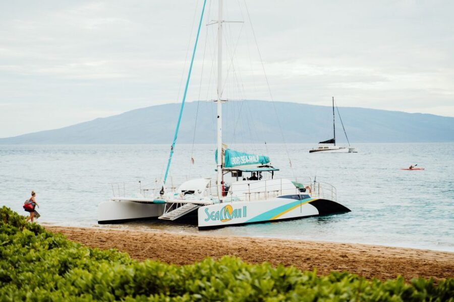 From Kaanapali: Afternoon West Maui Snorkeling w/ Drinks - Food and Open Bar: The Floating Pit Stop You’ll Actually Enjoy