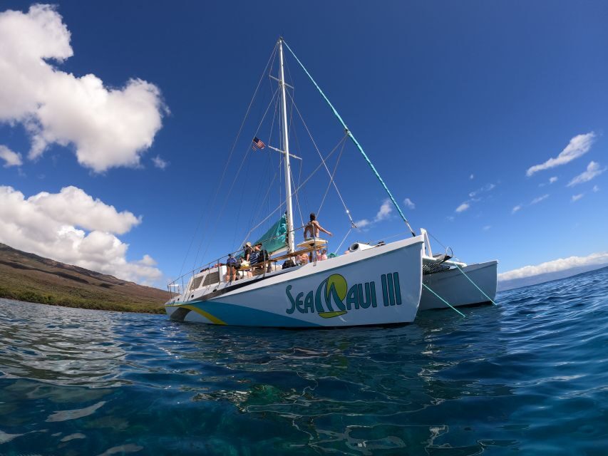 From Ka'anapali: West Maui Half-Day Snorkel Tour w/ Food - Snorkeling in West Maui: what you’ll see and how the captain picks the spots