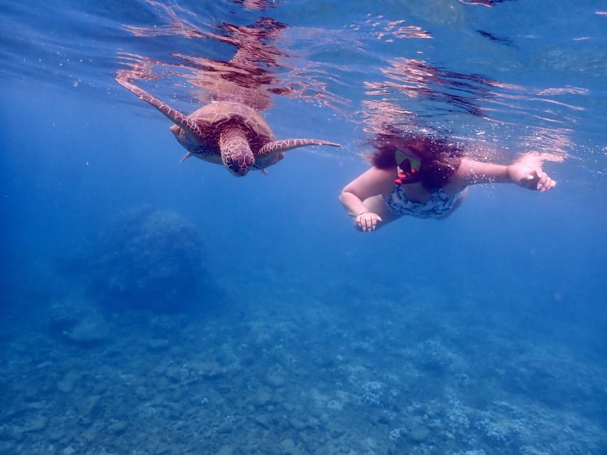 From Kihei: Molokini Crater and Turtle Town Snorkeling - Should you book the Molokini Crater and Turtle Town trip from Kihei?