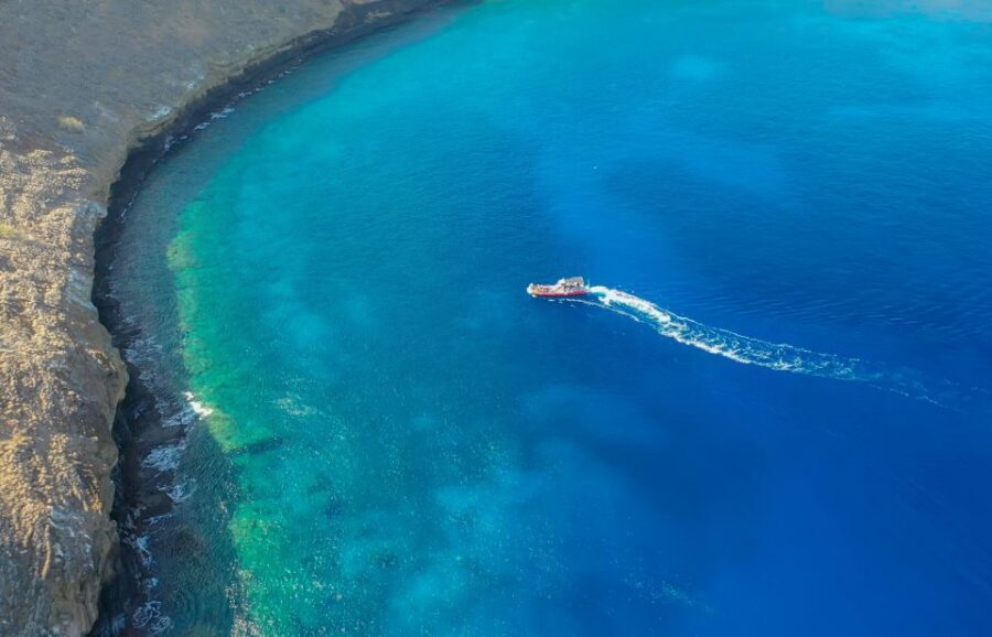 From Kihei: Molokini Crater and Turtle Town Snorkeling - Turtle Town near Makena Bay: honu sightings and the reef cast