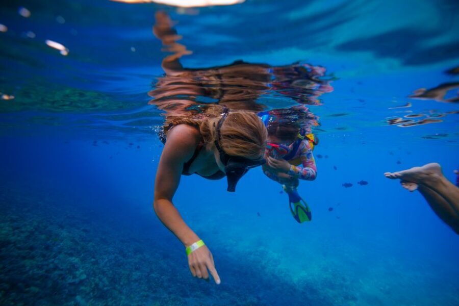 From Kihei: Molokini Crater and Turtle Town Snorkeling - Gear, safety, and the limits you should take seriously