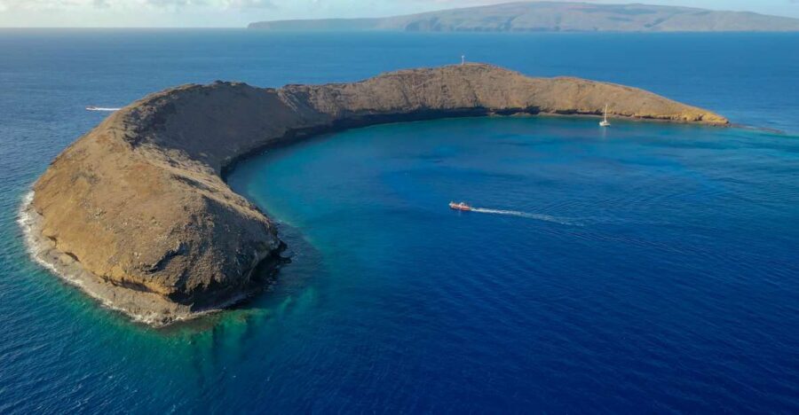 From Kihei: Molokini Crater and Turtle Town Snorkeling - Price and value: is $179 really worth three hours?