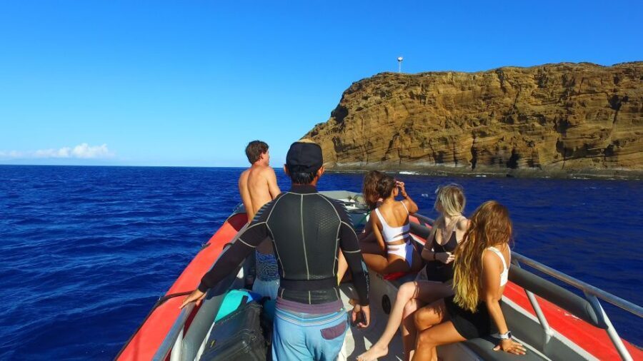 From Kihei: Molokini Crater and Turtle Town Snorkeling - Practical tips to make this snorkeling day easier