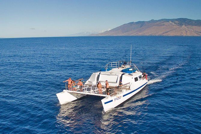 From Ma'alaea Harbor, Maui: Whale Watch Cruise Aboard Malolo - Captain Karl and the Crew’s Role: Facts, Safety, and Respect