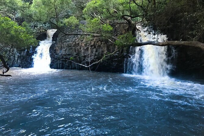 Full Day Private Maui Waterfall, Beach & Hana Tour - Pua’a Ka’a State Park: the falls, the green, and the pacing