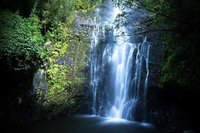 Full Day Private Maui Waterfall, Beach & Hana Tour - Kahului pickup and the drive that sets the tone