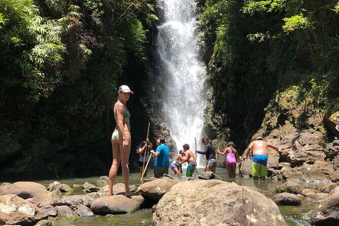 Full-Day Road to Hana and Waterfall Tour - Wai‘anapanapa State Park: Black Sand Beach with Guided Photo Control