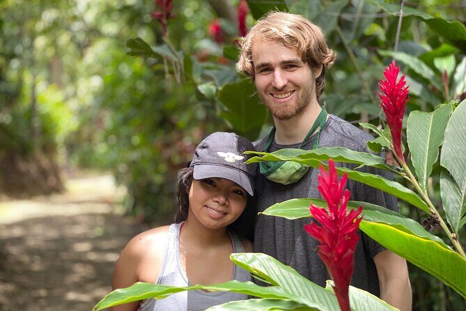 Full-Day Road to Hana and Waterfall Tour - Pua‘a Ka‘a State Park: The Waterfall Moment for People Who Want More