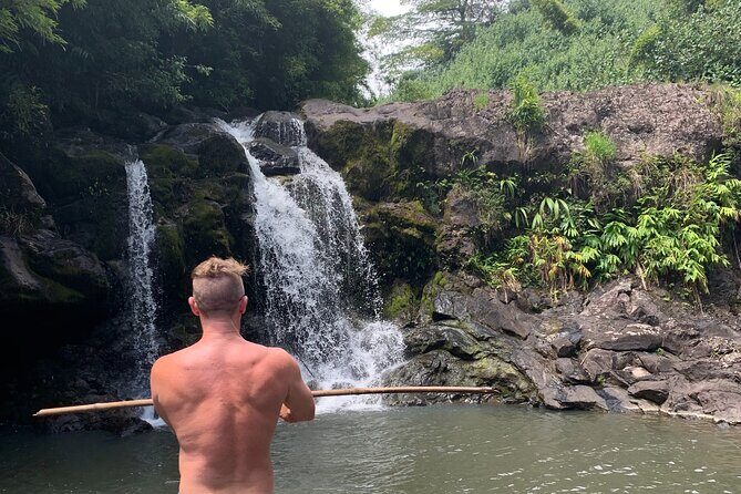 Full-Day Road to Hana and Waterfall Tour - Price and Value: Why $369 Can Be Worth It