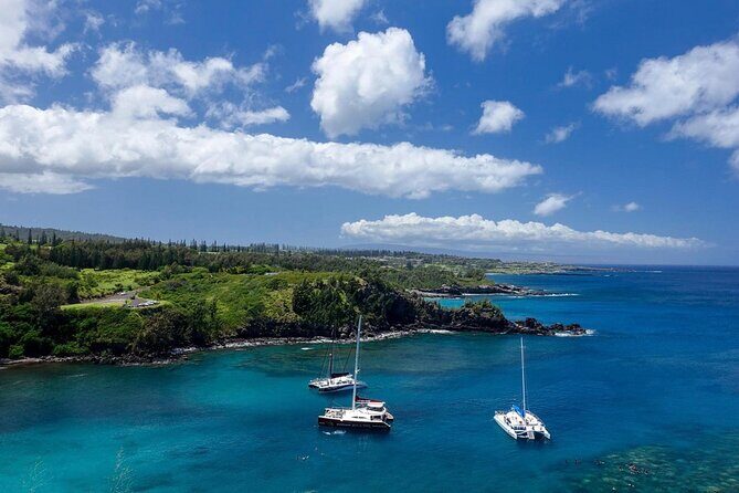 Fun & Affordable! West Maui Open-Air Sightseeing Tour! - Coffee Farms Overlook and Kapalua: where you get West Maui context fast
