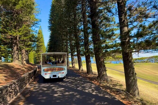 Fun & Affordable! West Maui Open-Air Sightseeing Tour! - Honolua Bay and the Honolua Bay Lookout: short stop, big payoff