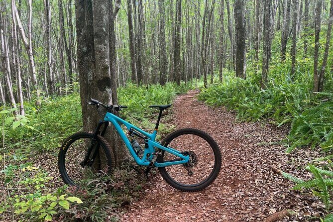 Fun Mountain Bike riding on trails in Maui Hawaii! - Olinda Start Time: Why the First 15 Minutes Set the Tone