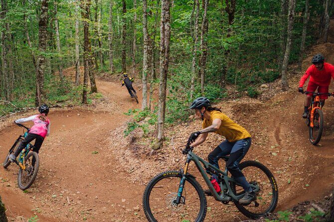 Fun Mountain Bike riding on trails in Maui Hawaii! - Family-Friendly Setup: Non-Riders Can Still Have a Maui Morning