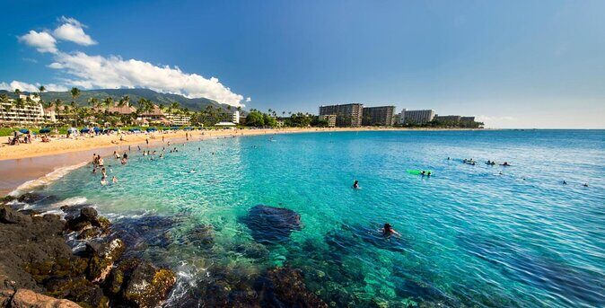 Guided Scuba Dive in Lahaina: Certified - Key points to know before you go