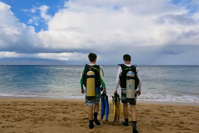 Guided Scuba Dive in Lahaina: Certified - Kaanapali Beach in West Maui: what you can realistically expect to see