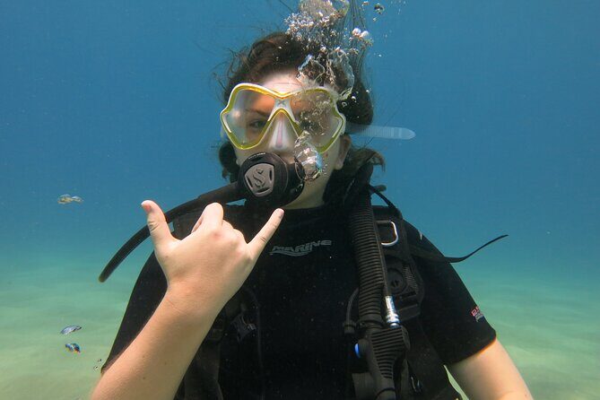 Guided Scuba Dive in Lahaina: Certified - Equipment included means less fuss: renting scuba gear the easy way