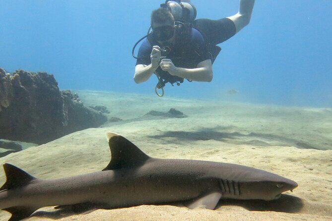 Guided Scuba Dive in Lahaina: Certified - Ka’anapali Beach shore time: what happens during the actual underwater portion