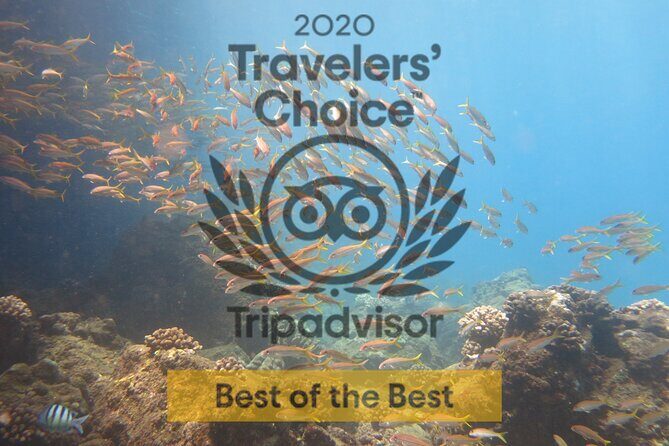 Guided Scuba Dive in Lahaina: Certified - Value check: is $189 per person a good deal?