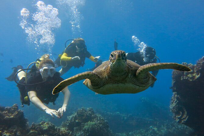 Guided Scuba Dive in Lahaina: Certified - After your session: the 18-hour rule for flying or altitude