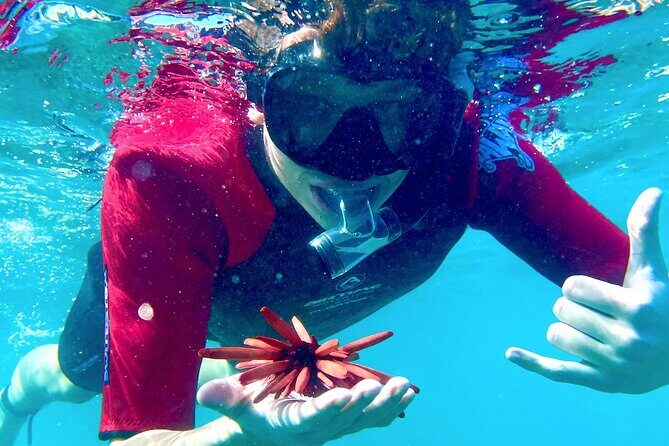 Guided Snorkeling for Beginners with Flotation Wetsuit - Key things that make this beginner snorkel work