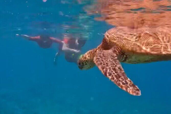 Guided Snorkeling for Beginners with Flotation Wetsuit - Kapalua Beach: the sandy entry and the offshore learning route