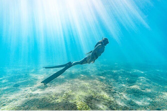 Guided Snorkeling for Beginners with Flotation Wetsuit - What’s included (and what you should plan to bring)