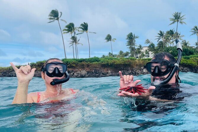 Guided Snorkeling for Beginners with Flotation Wetsuit - Price and value: why $139 can be worth it for the right person