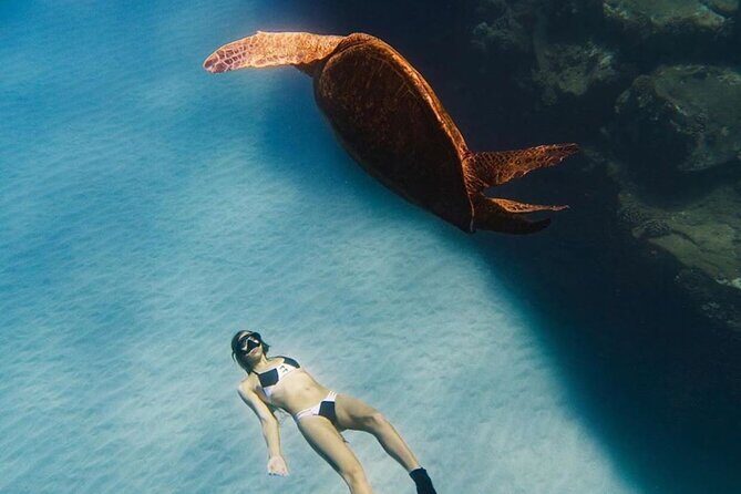 Guided Snorkeling for Beginners with Flotation Wetsuit - Who should book this (and who might not love it)