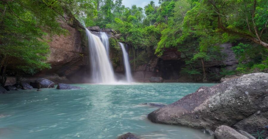 Haiku: Waterfall, Rainforest, and Handcrafted Chocolate Tour - The mini rainforest hike: easy walking with real plant storytelling