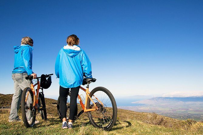 Haleakala Summit Best Self-Guided Bike Tour with Bike Maui - Haleakala Crater Stop: What You’ll Actually Get Up There