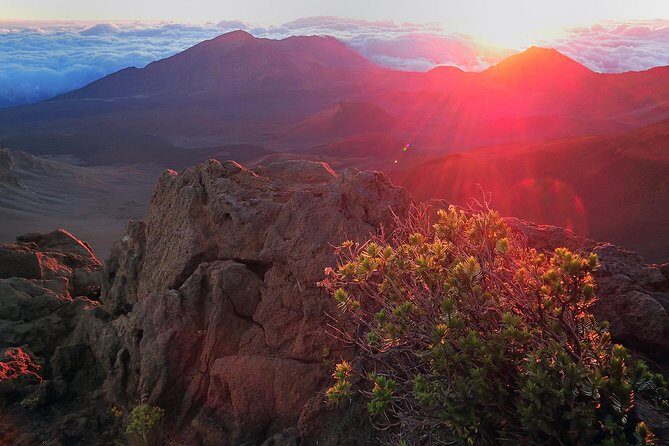 Haleakala Sunrise Tour with Breakfast and West Side Pickup - On the Road to the Summit: Cold Starts, Winding Roads, and Motion Sickness