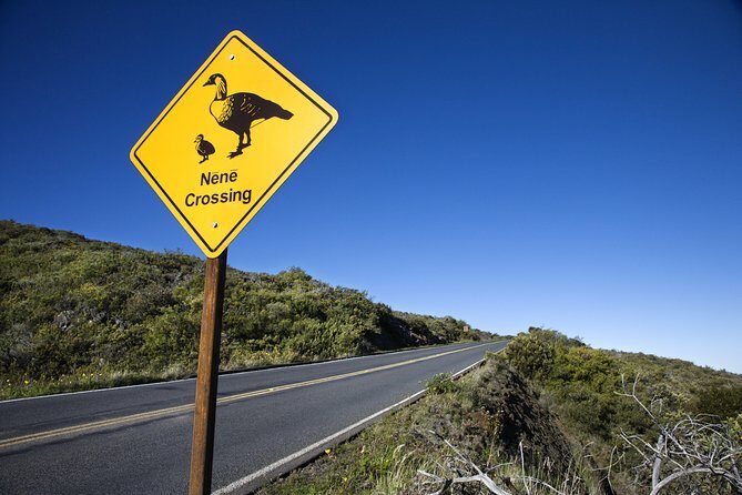 Haleakala Sunset and Stargazing Audio Tour - Makawao: From Cattle Town Roots to Art-and-Food Breaks