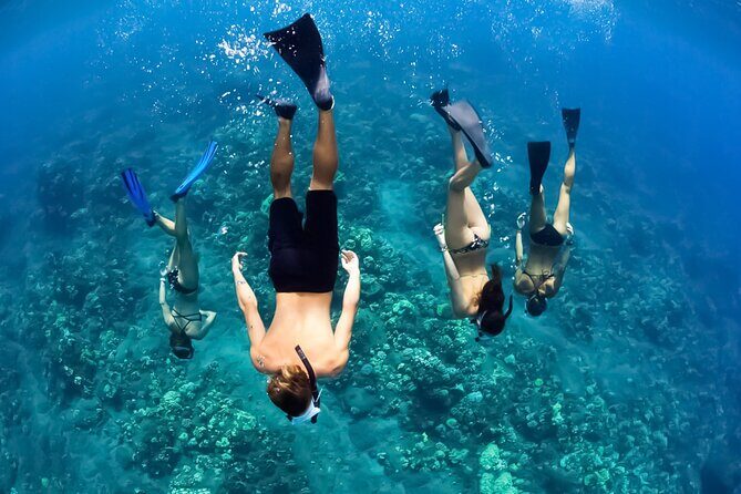 Half-Day Deluxe Molokini Snorkel Excursion in Maui - Turtle Town in Summer, Whale Watching in Winter (Dec–Apr)