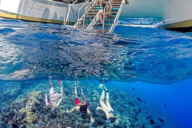 Half-Day Deluxe Molokini Snorkel Excursion in Maui - What’s Included in the Water: Gear, Towels, and Reef-Safe Sunscreen