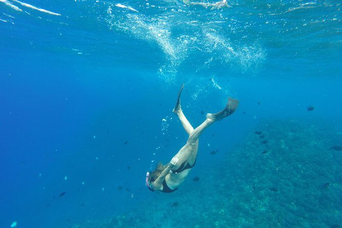 Half Day Snorkel to Lanai from Kaanapali Beach + Dolphin Search - The snorkeling plan: two stops, not one, and both matter
