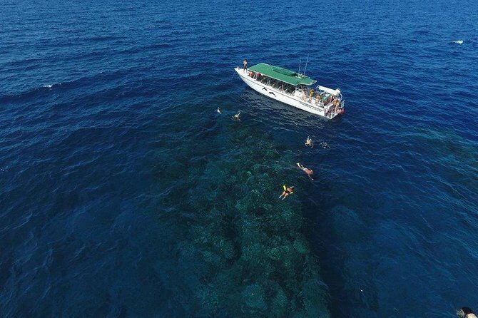 Half Day Snorkel to Lanai from Kaanapali Beach + Dolphin Search - Dolphins on the itinerary: what the search really feels like
