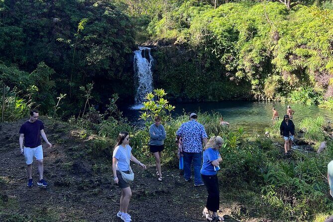 Halfway Road to Hana - Small Group — Taste of Hana & Waterfalls - What makes this Halfway Road to Hana day work so well