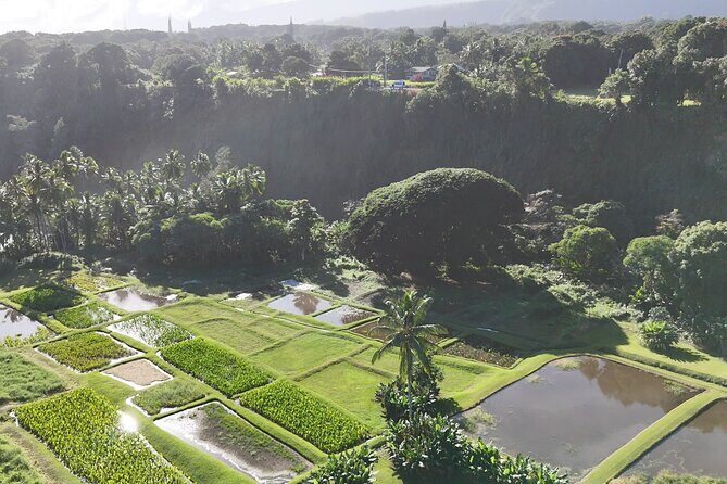 Halfway Road to Hana - Small Group — Taste of Hana & Waterfalls - Who this Halfway Road to Hana tour fits best