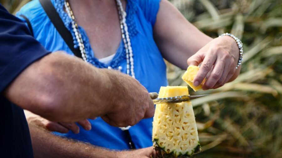 Hali'imaile: Pineapple Farm Tour - Key highlights to expect
