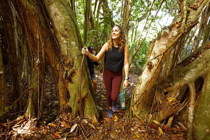 Hike Honolua Ridgeline - The Trail Experience: Shade, Lookouts, and the Native Forest Reality Check