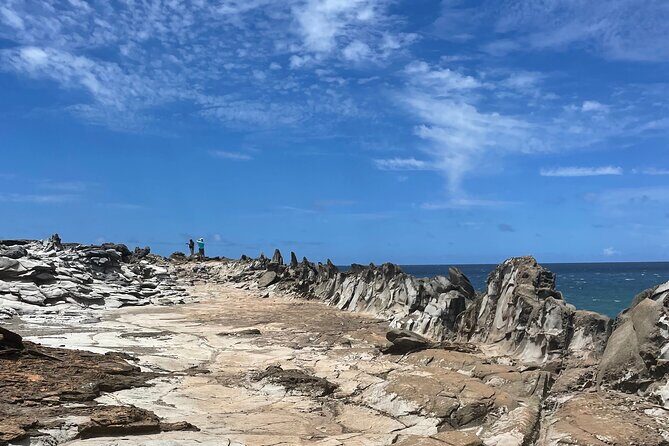 Island of Maui Customized Half Day Tour - Key Things to Know Before You Go