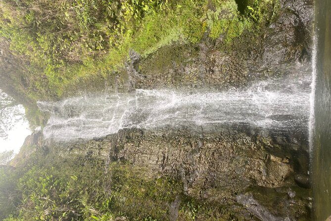 Island of Maui Customized Half Day Tour - Why a Customized Maui Half-Day Works Better Than a Fixed Bus Route