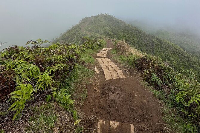 Island of Maui Customized Half Day Tour - Food and Local Treats: Farm-to-Table Energy or Roadside Bites