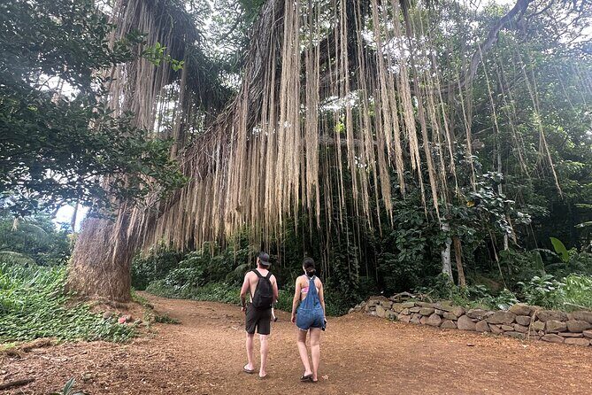 Island of Maui Customized Half Day Tour - Price and Value: When $350 Per Person Actually Makes Sense