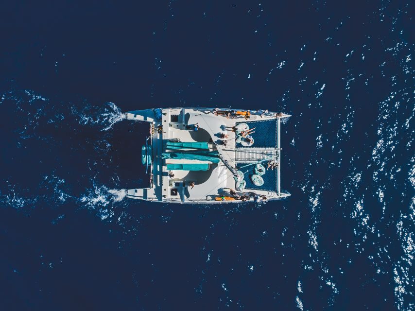 Kaanapali: Whale Watching Cruise with Open Bar - Key points to know before you go