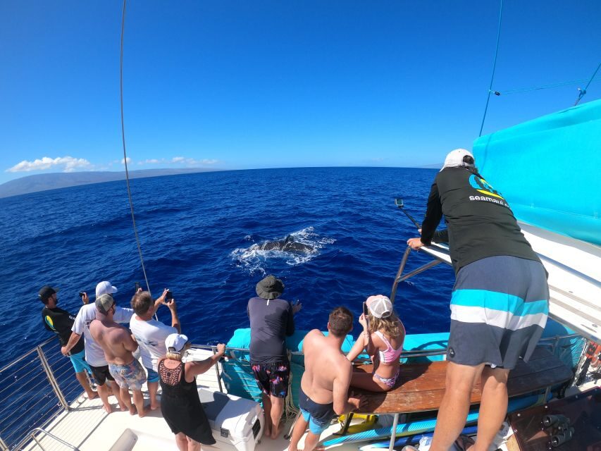 Kaanapali: Whale Watching Cruise with Open Bar - Getting to Sea Maui at Whaler’s Village and boarding smoothly