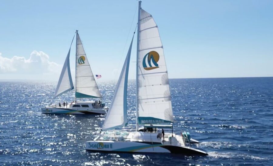 Kaanapali: Whale Watching Cruise with Open Bar - The naturalist guides: facts you can use out on the water