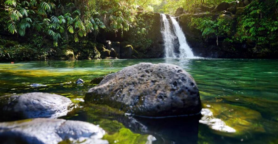 Kahului: Guided Rainforest and Waterfall Walk - Key things that make this tour special
