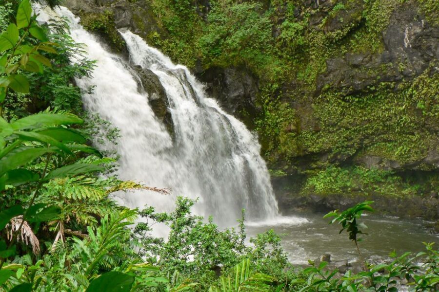 Kahului: Guided Rainforest and Waterfall Walk - Trail to the First Waterfall Pool: Easy One-Mile, Real Jungle Terrain